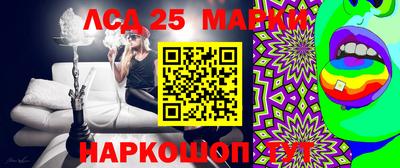мяу мяу мука Краснознаменск