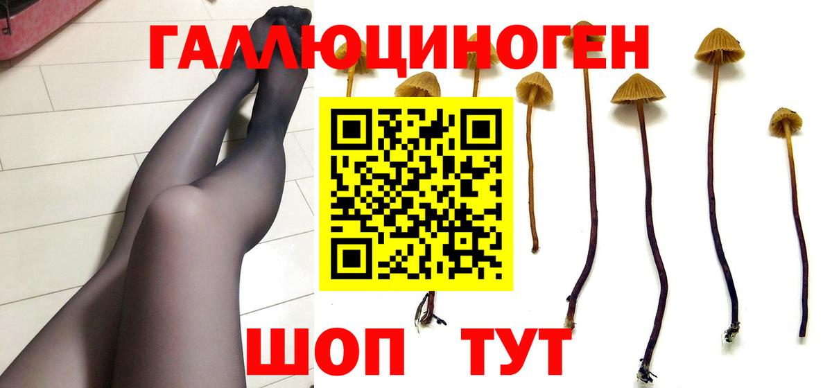 Карпинск  Псилоцибиновые грибы ЛСД  Галлюциногенные грибы MAGIC MUSHROOMS  Вход с VPN 